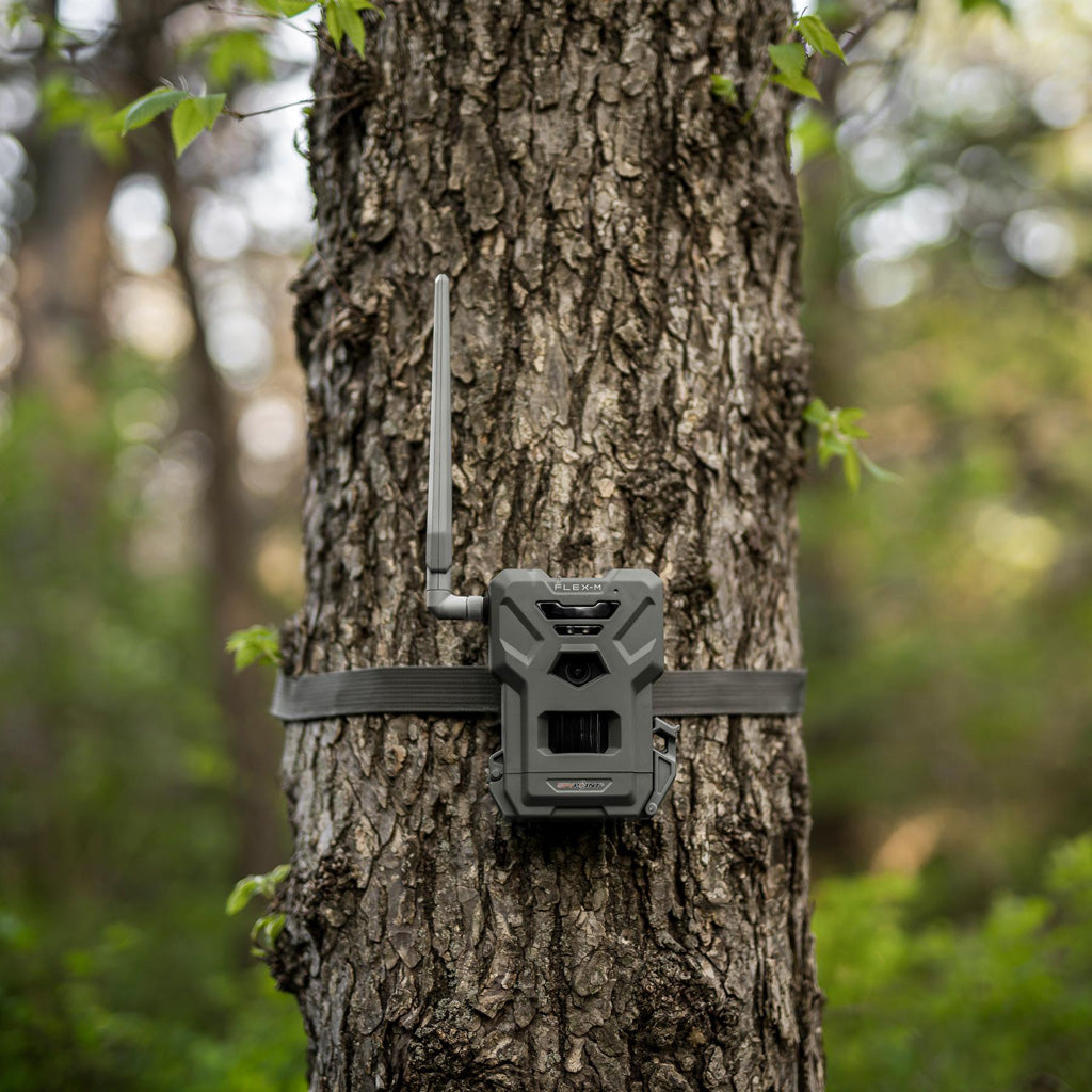 Spypoint Flex M2 Cellular Trail Camera