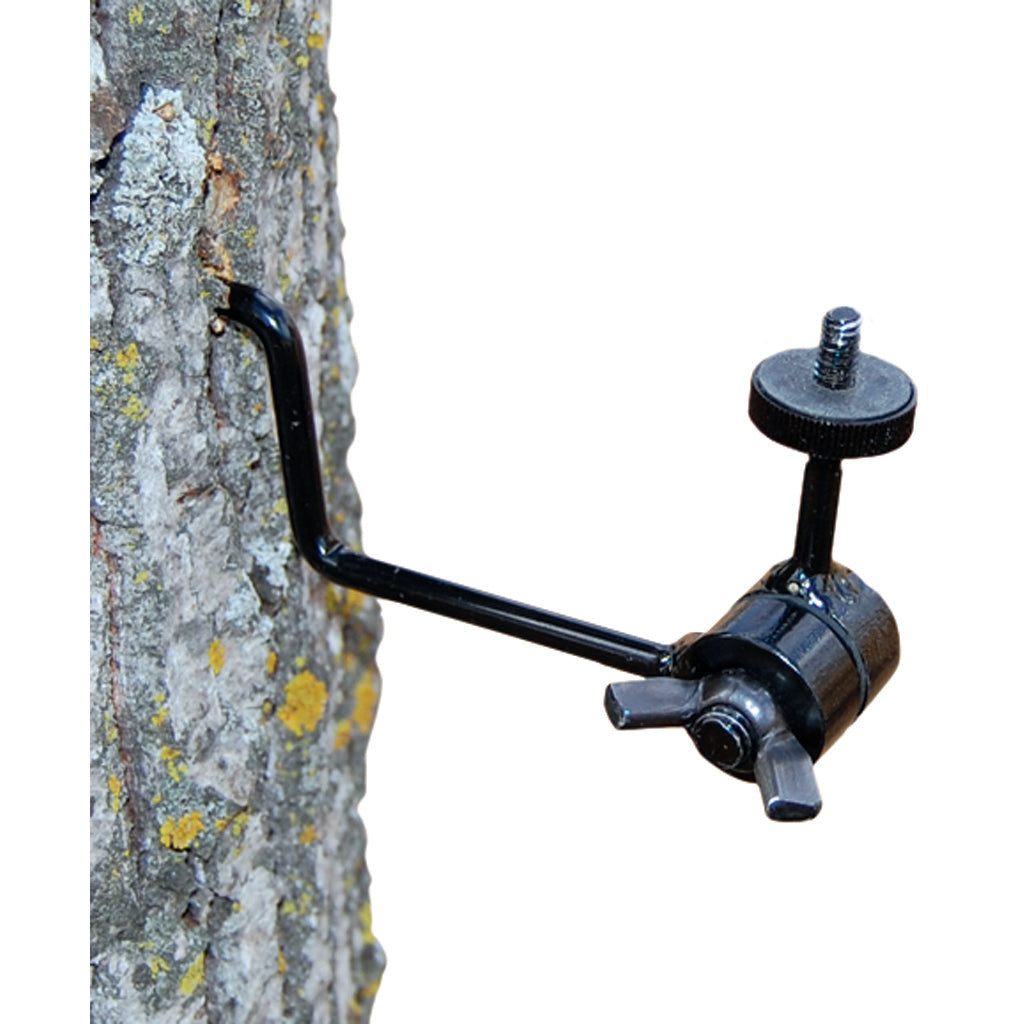 Camera Mounts and Security