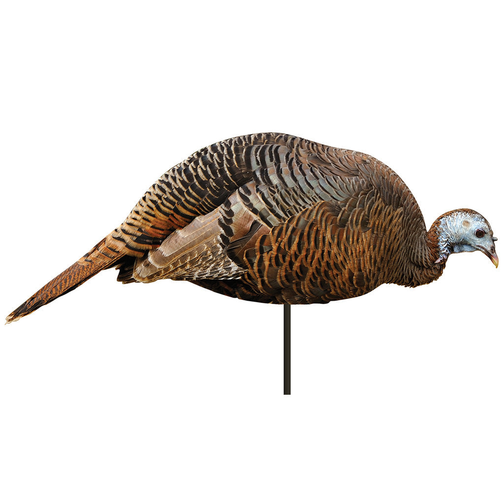 Turkey Decoys