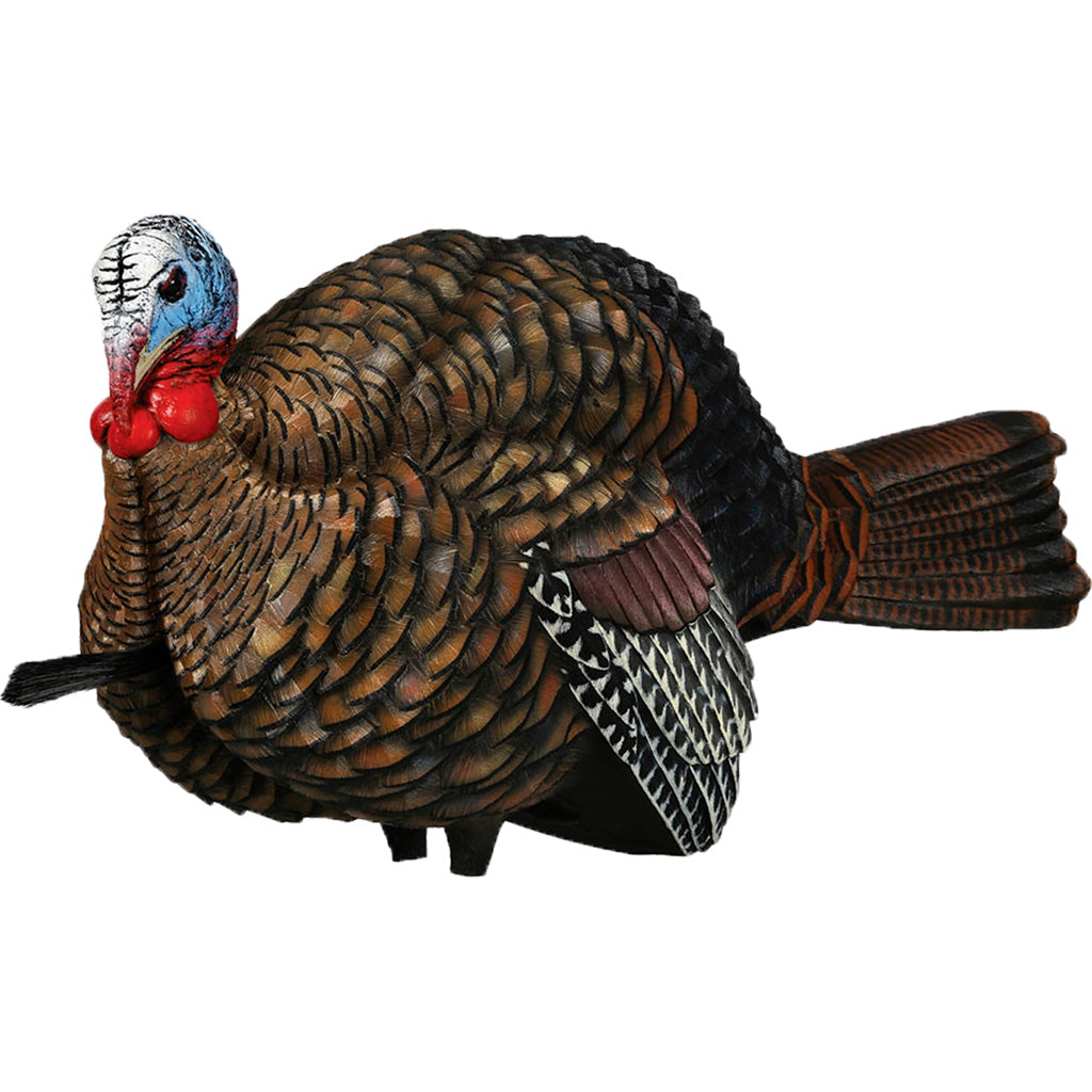 Decoys
