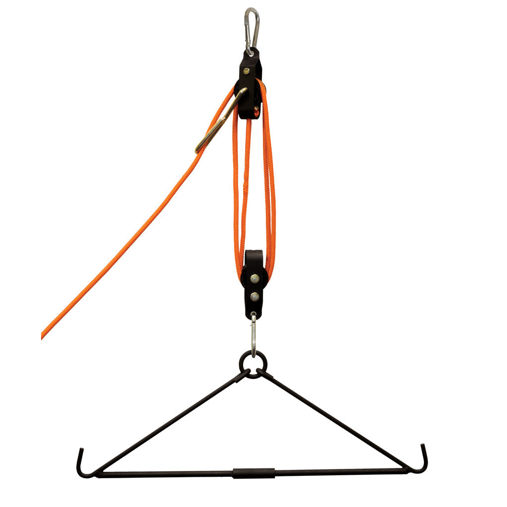 Game Hoists and Scales