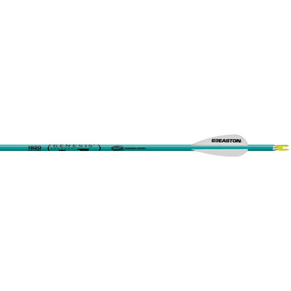 Easton Genesis Arrows