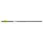 Wicked Ridge Lighted Alpha Brite Arrows Aluminum 20 in. 3 pk.