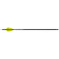 TenPoint EVO-X CenterPunch Arrows 16 in. Alpha Nocks 6 pk.