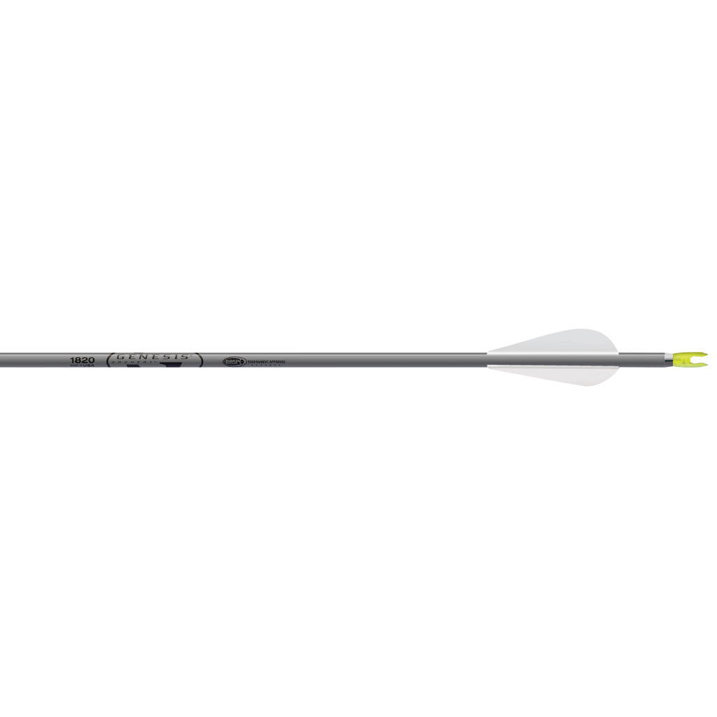 Easton Genesis Arrows