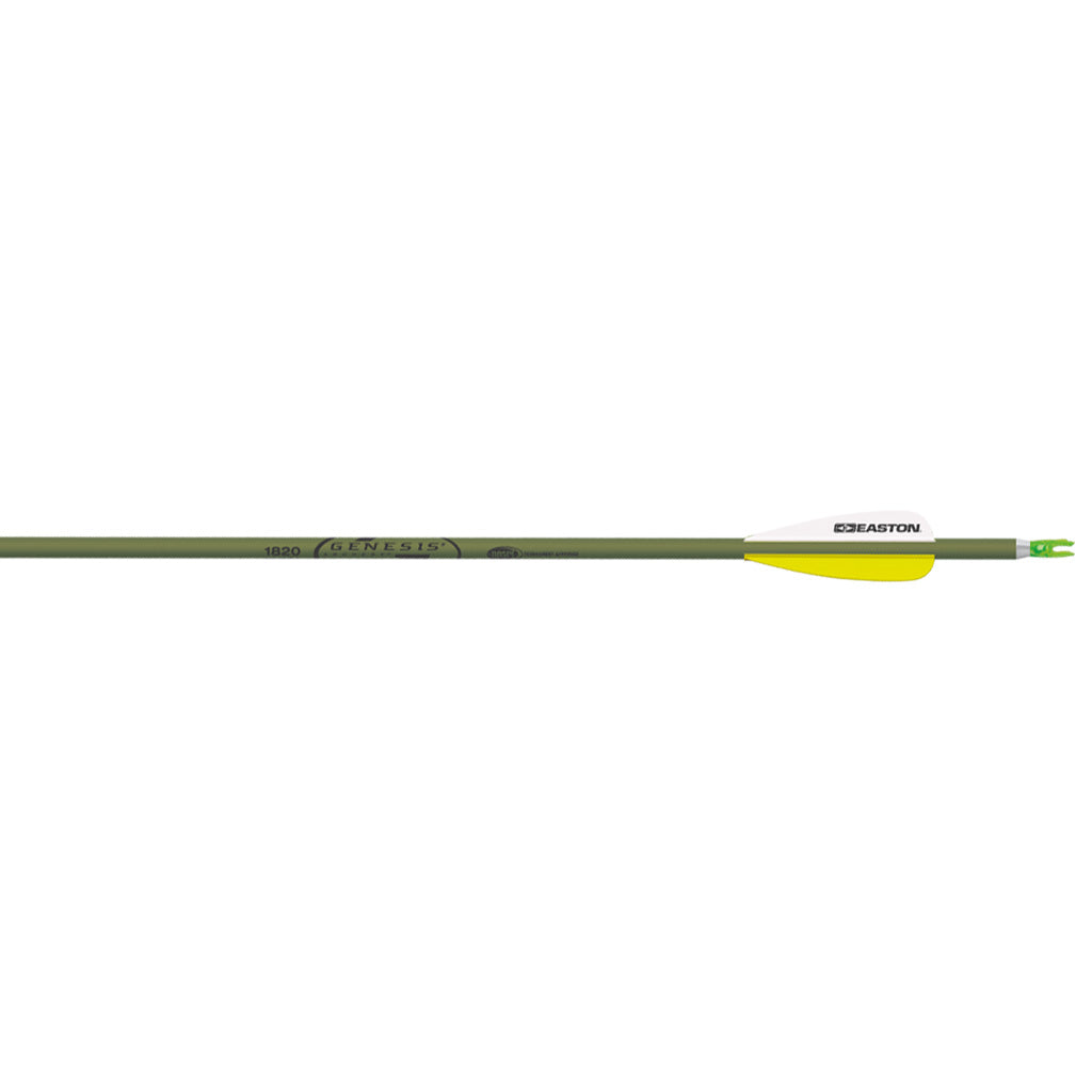 Easton Genesis Arrows