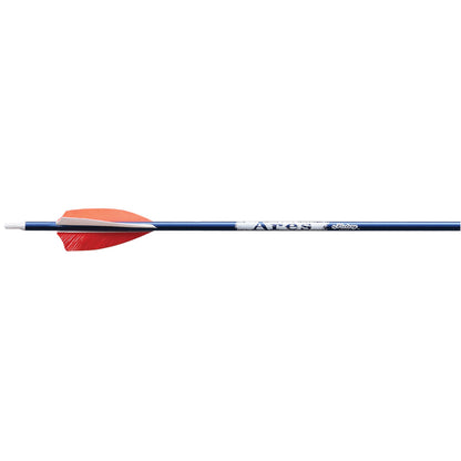 Victory Ares Youth Arrows