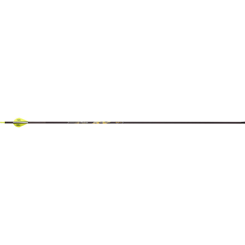 Victory RIP XV Elite Arrows