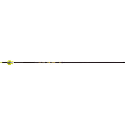 Victory RIP XV Elite Arrows