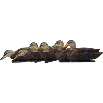 Avian X Top Flight Duck Decoys
