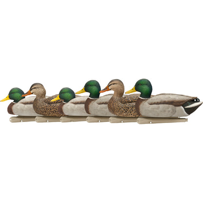 Avian X Top Flight Duck Decoys