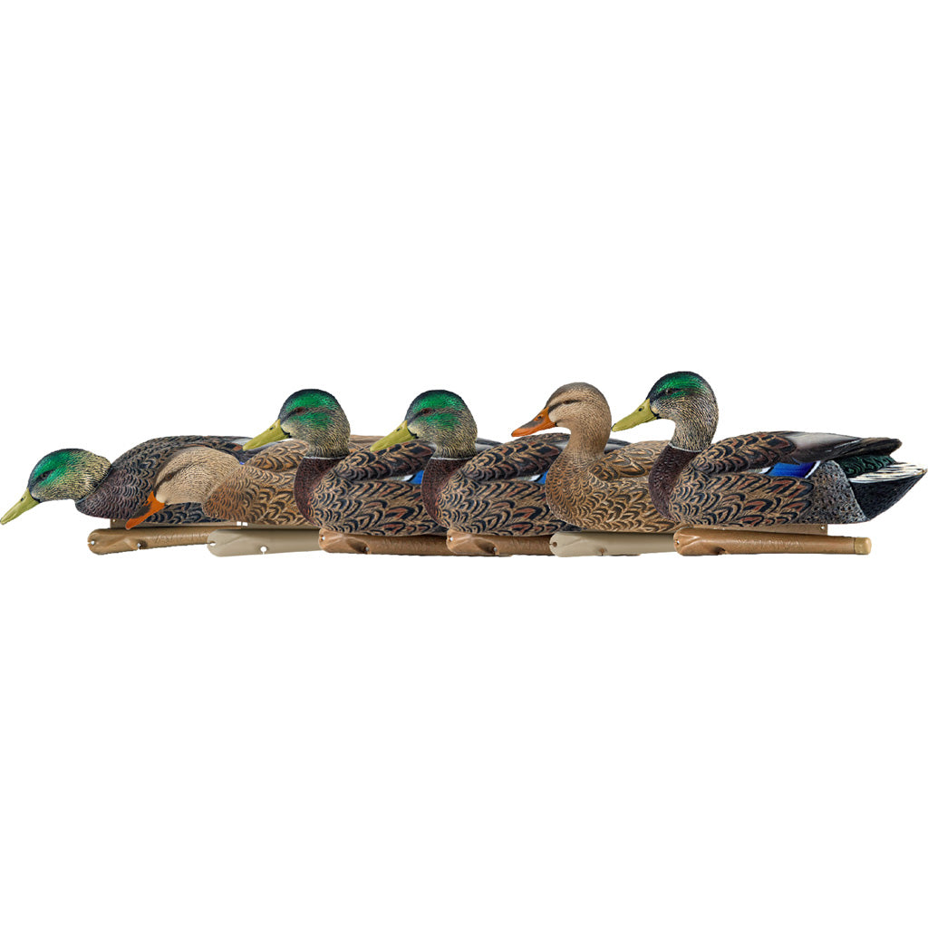 Avian X Top Flight Duck Decoys