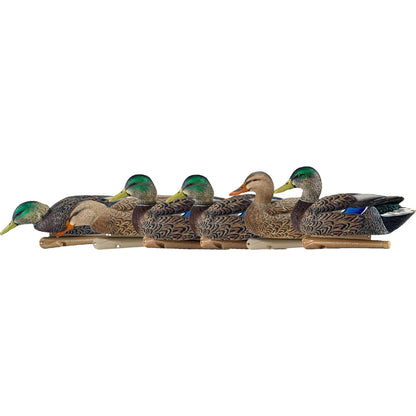 Avian X Top Flight Duck Decoys