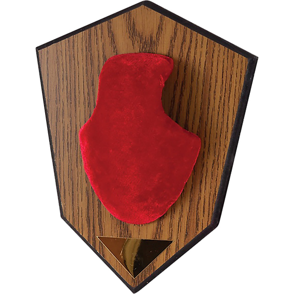 Allen Antler Mounting Kit