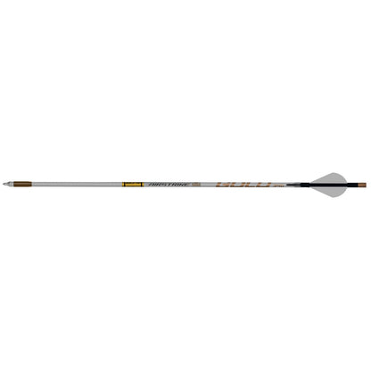 Gold Tip AirStrike Arrows