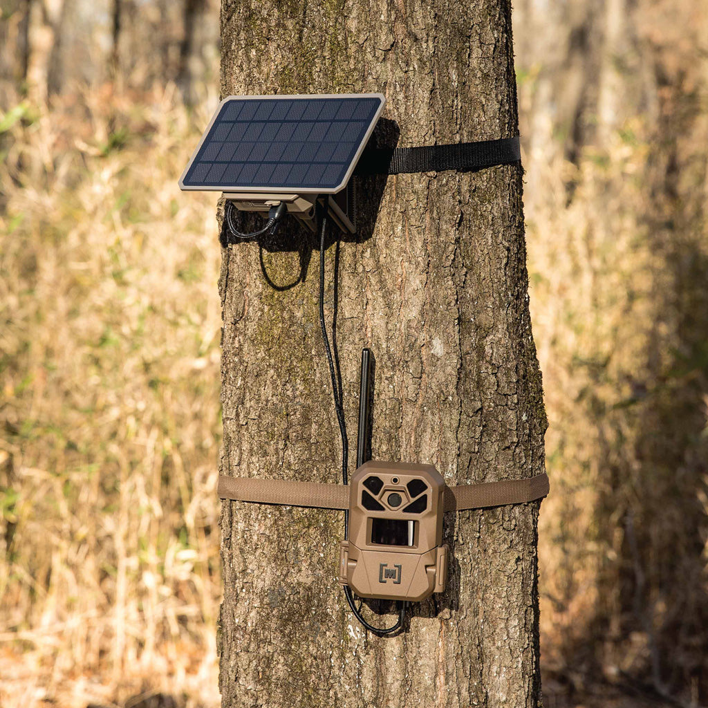 Moultrie Edge 3 Cellular Trail Camera