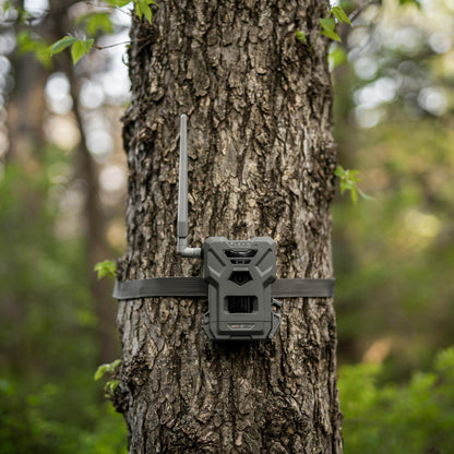 Spypoint Flex M2 Cellular Trail Camera