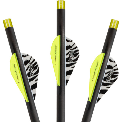 Lumenok Carbon Crossbow Bolts