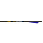 Gold Tip Nitro Crossbow Bolts 20 in. Moon Nocks 6 pk.
