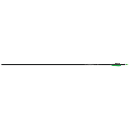 Easton Genesis Arrows