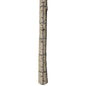 Big Game The Quick-Stick Climbing Stick 20 ft.