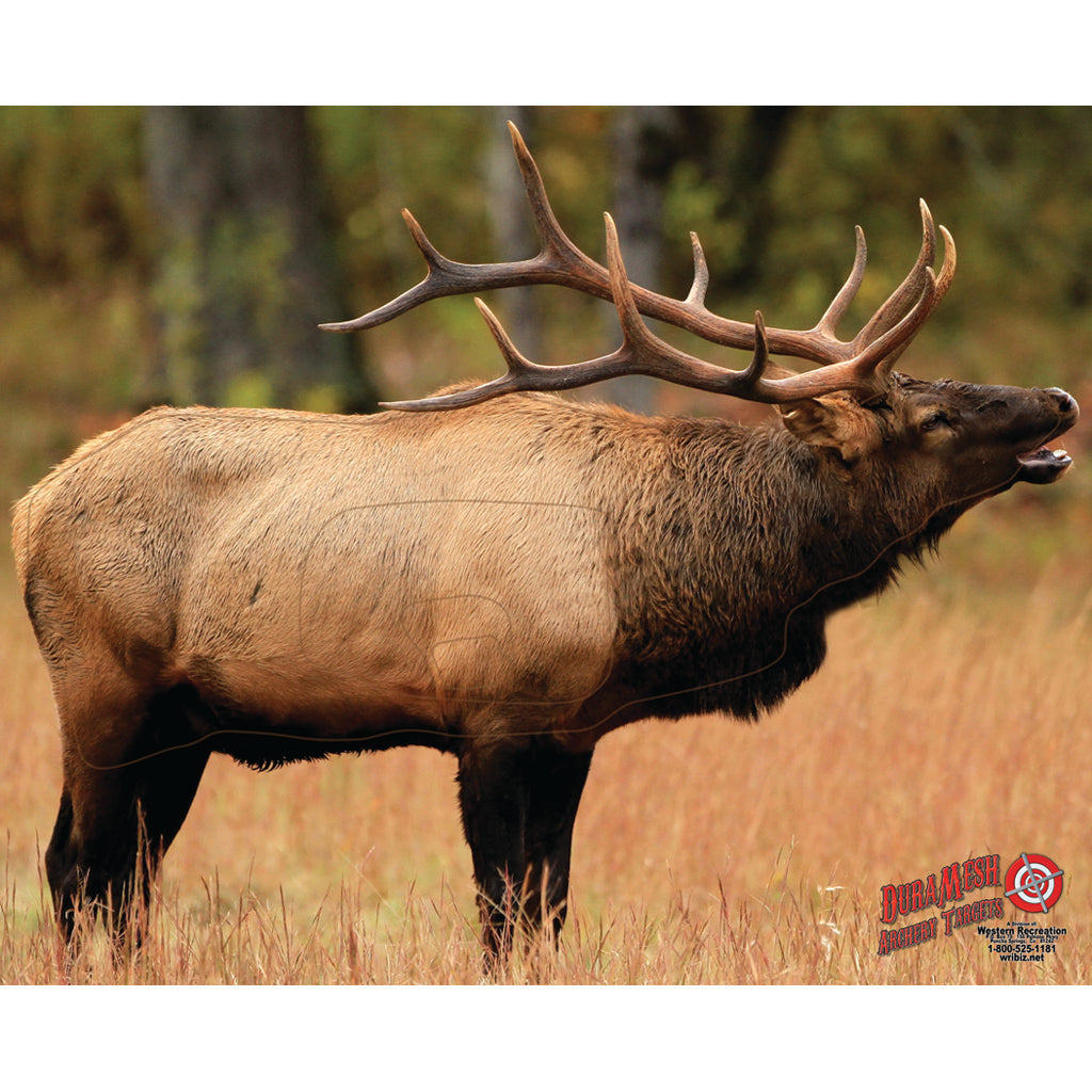 DuraMesh Archery Target