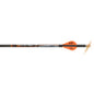 Ravin Premium Lighted Crossbow Bolts 400 gr. .001 3 pk.