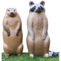 Big Shot Pro Hunter Raccoon and Groundhog Combo