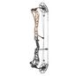 Mathews Arc 34