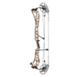 Mathews Arc 34