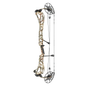 Mathews Arc 34